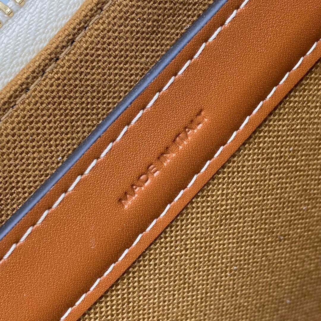 Celine Ava Bag In Triomphe Canvas 193952 White