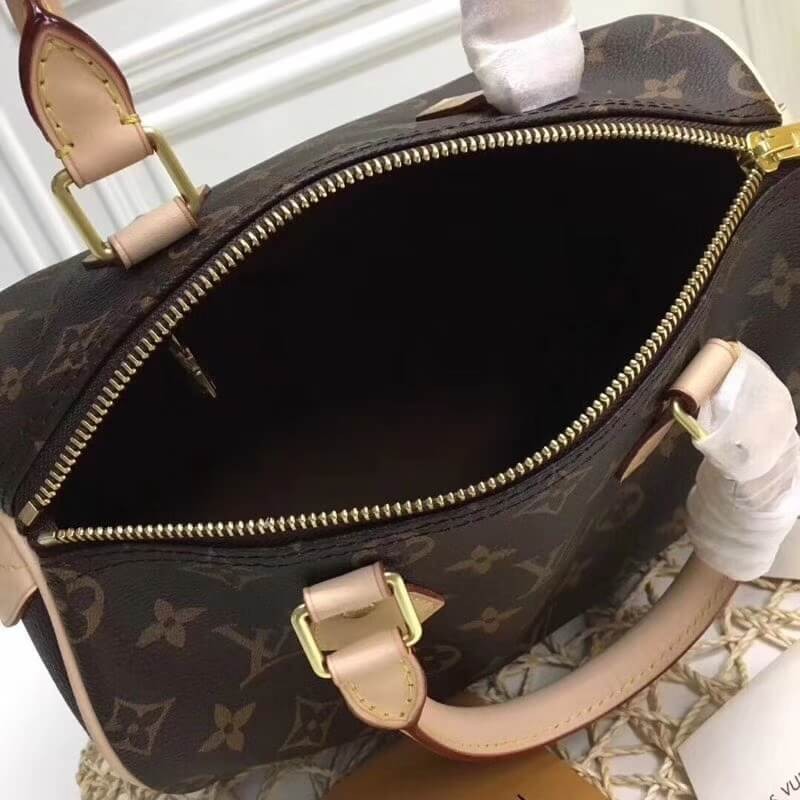 Louis Vuitton Monogram Canvas Speedy 25 M41109