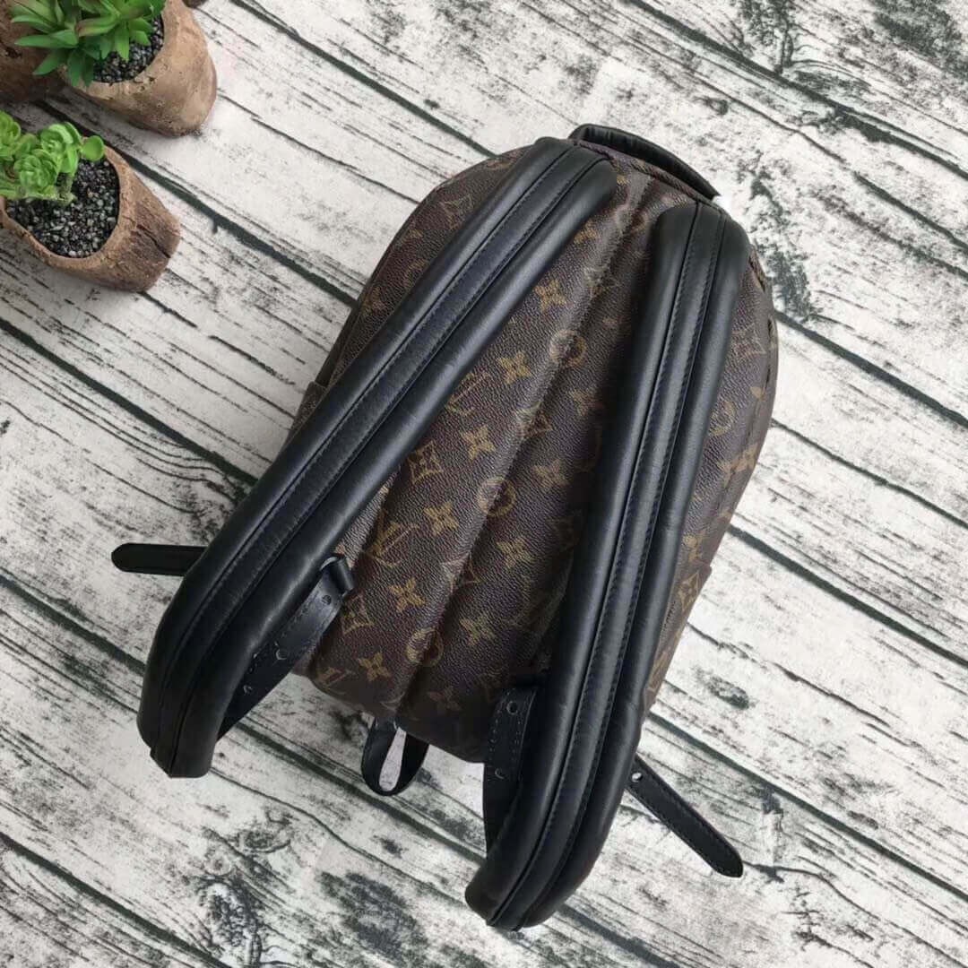 Louis Vuitton Monogram Canvas Palm Springs Backpack PM M43116