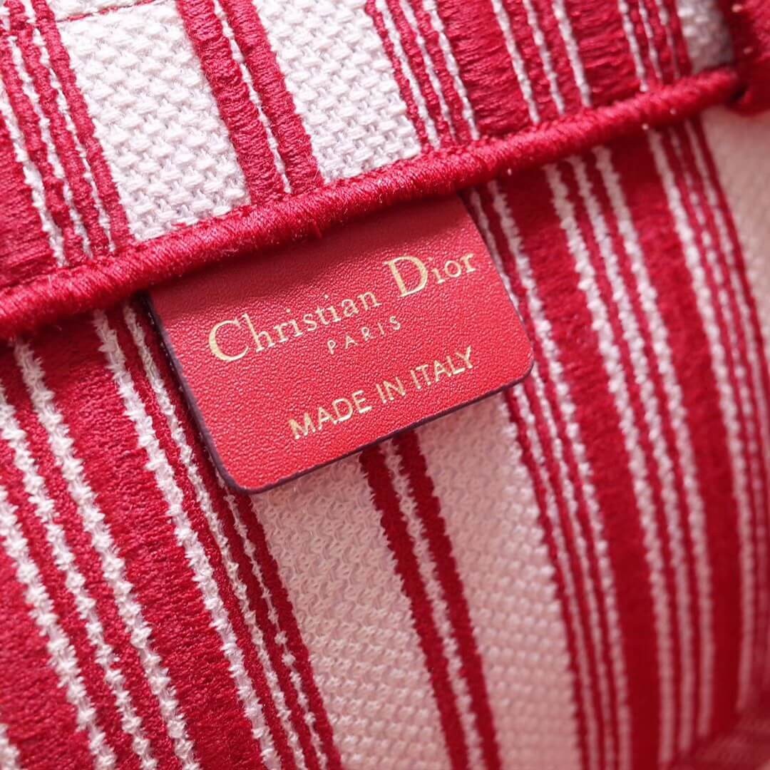 Christian Dior Book Tote Bag M1286