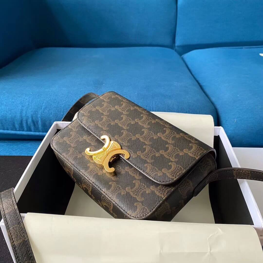 Celine Nano Triomphe Bag In Triomphe Canvas 191902