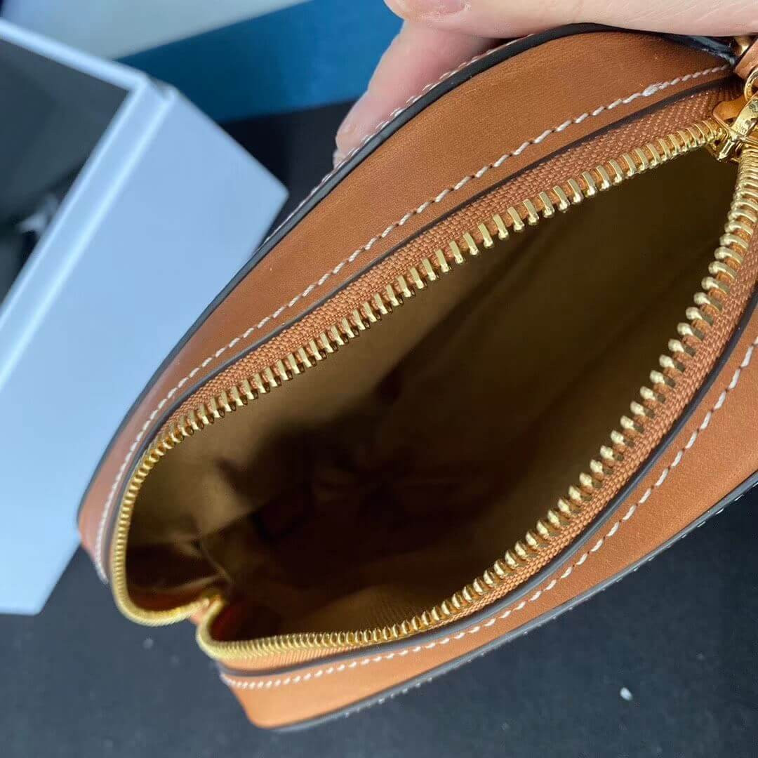 Celine Small Camera Bag In Triomphe Canvas 191522