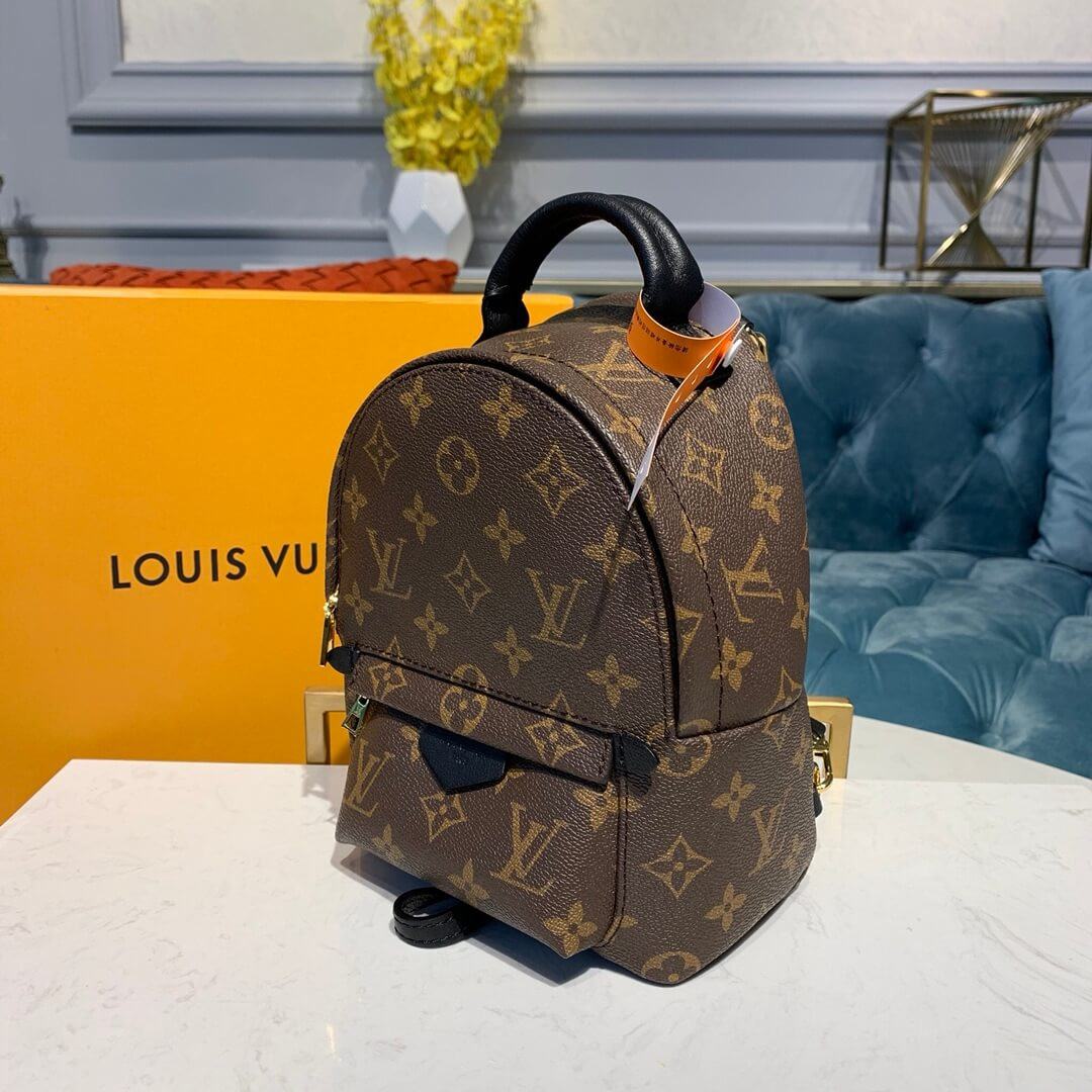 Louis Vuitton Monogram Canvas Palm Springs Backpack Mini M41562