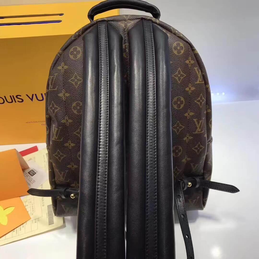 Louis Vuitton Monogram Canvas Palm Springs Backpack MM M41561