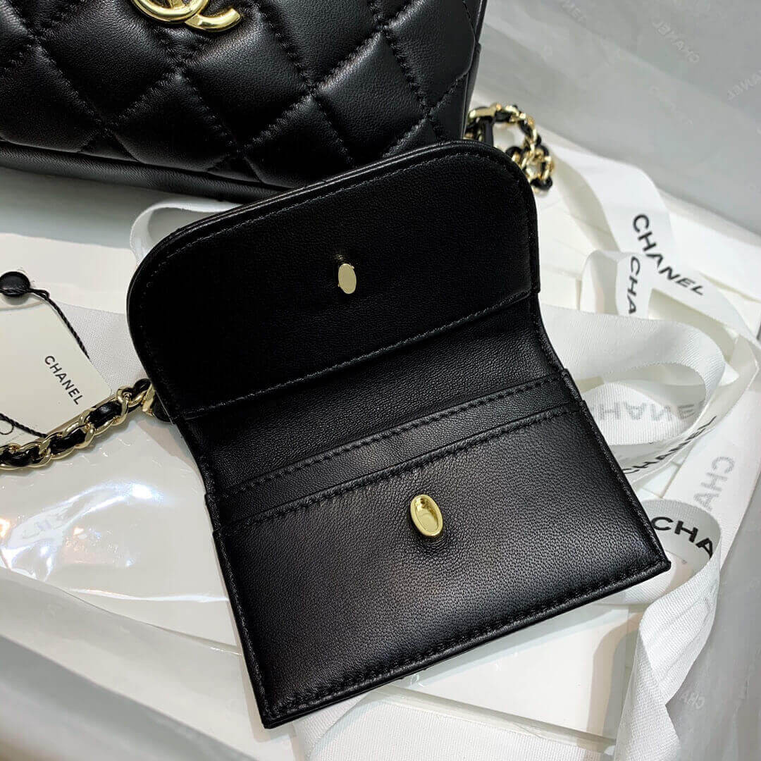 Chanel Waist Bag With Pouch AP1192