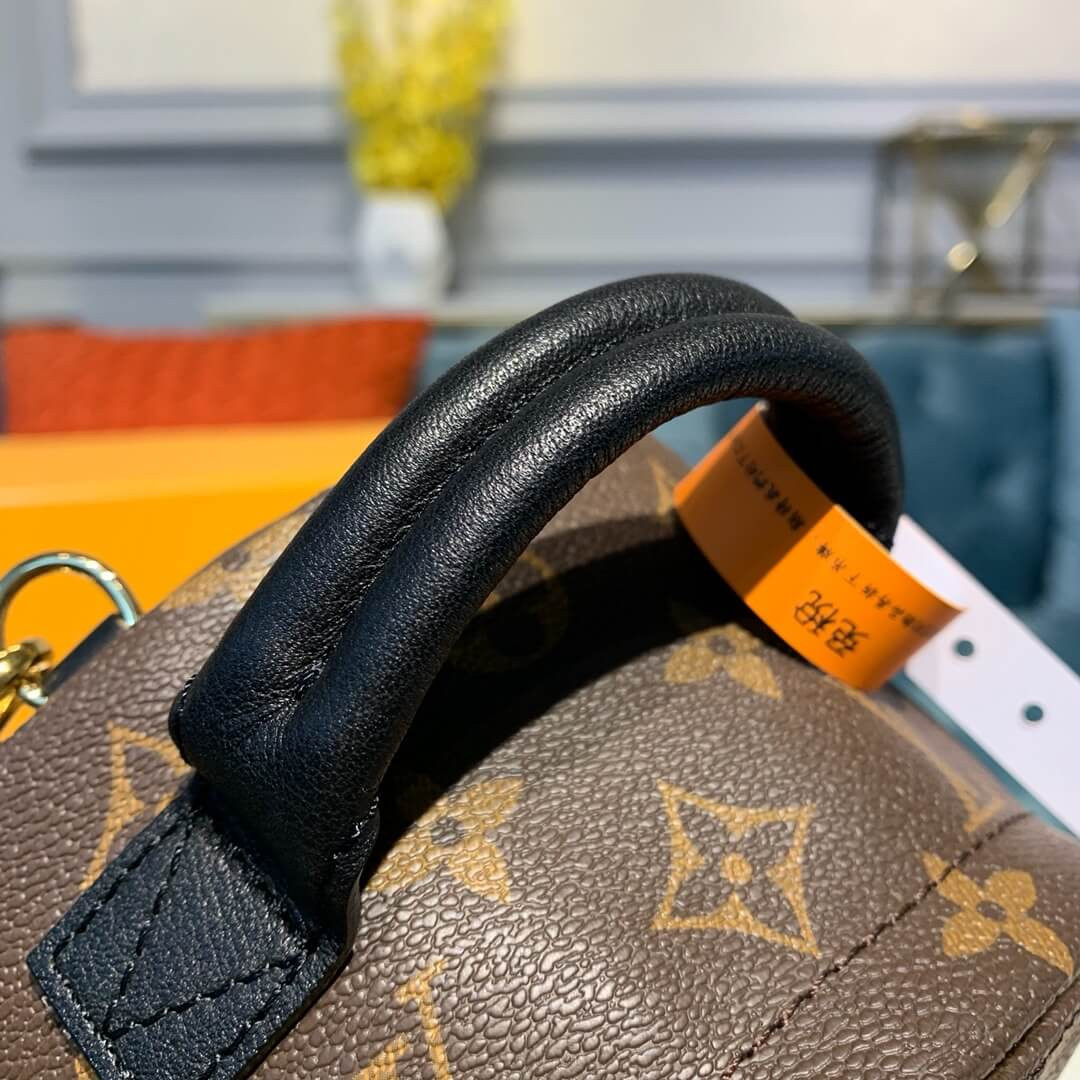 Louis Vuitton Monogram Canvas Palm Springs Backpack Mini M41562