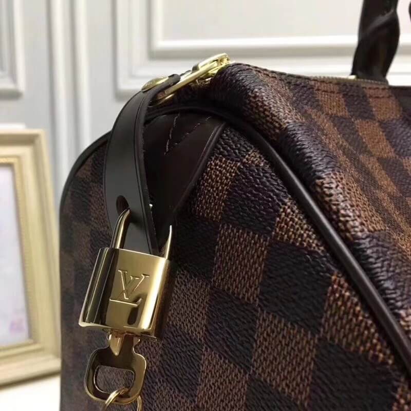 Louis Vuitton Damier Ebene Canvas Speedy 25 N41365