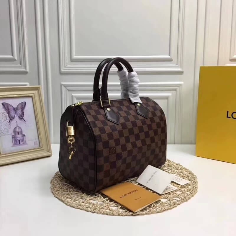 Louis Vuitton Damier Ebene Canvas Speedy 25 N41365