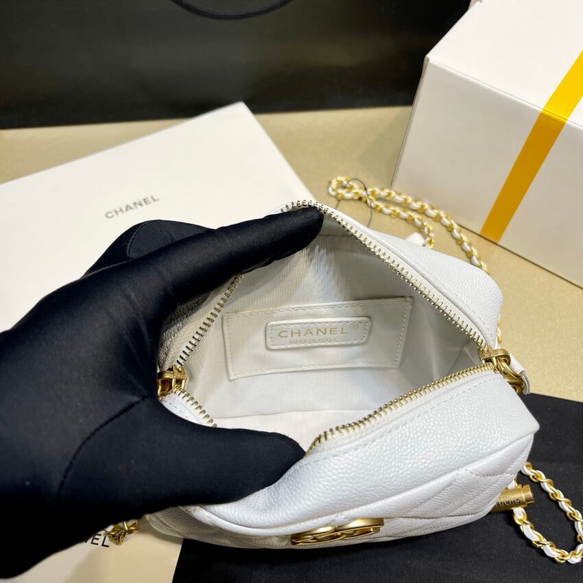 Chanel Grained Calfskin Camera Bag AS2856