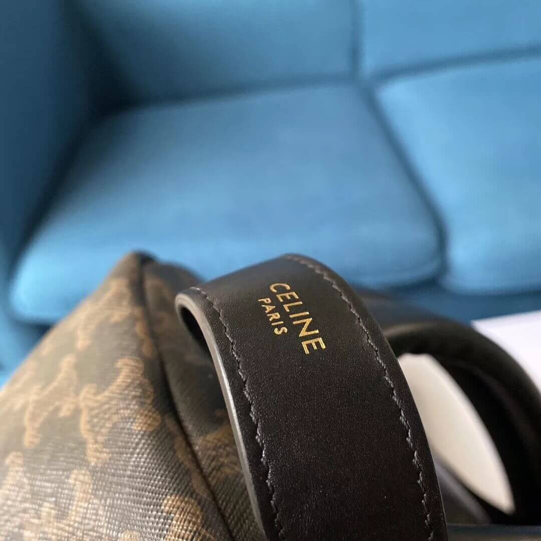 Celine Medium Backpack In Triomphe Canvas 188382