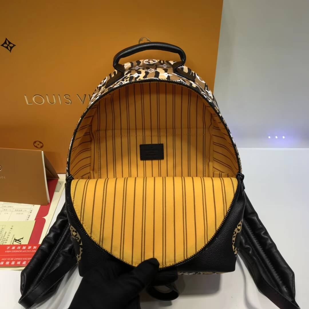 Louis Vuitton Palm Springs Backpack PM M44718