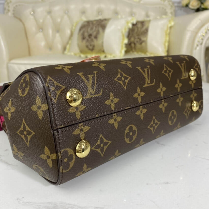 Louis Vuitton Monogram Canvas Cluny BB M42738