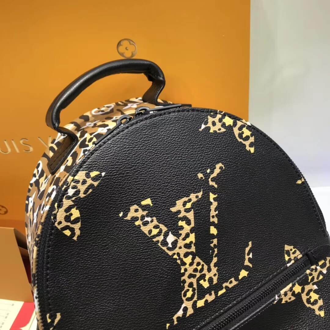 Louis Vuitton Palm Springs Backpack PM M44718