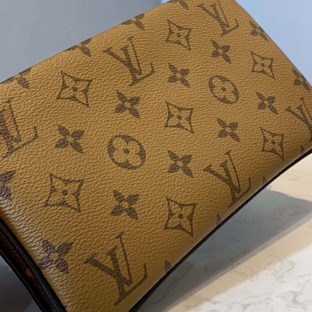 Louis Vuitton Multi Pochette Accessoires M57611