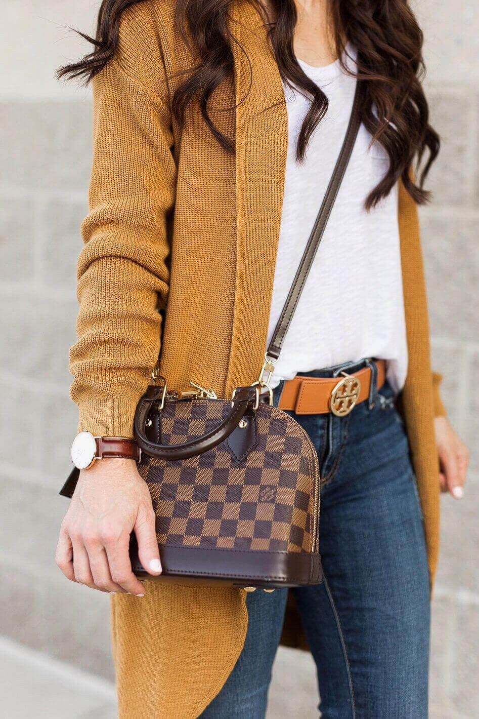 Louis Vuitton Damier Ebene Canvas Alma BB N41221
