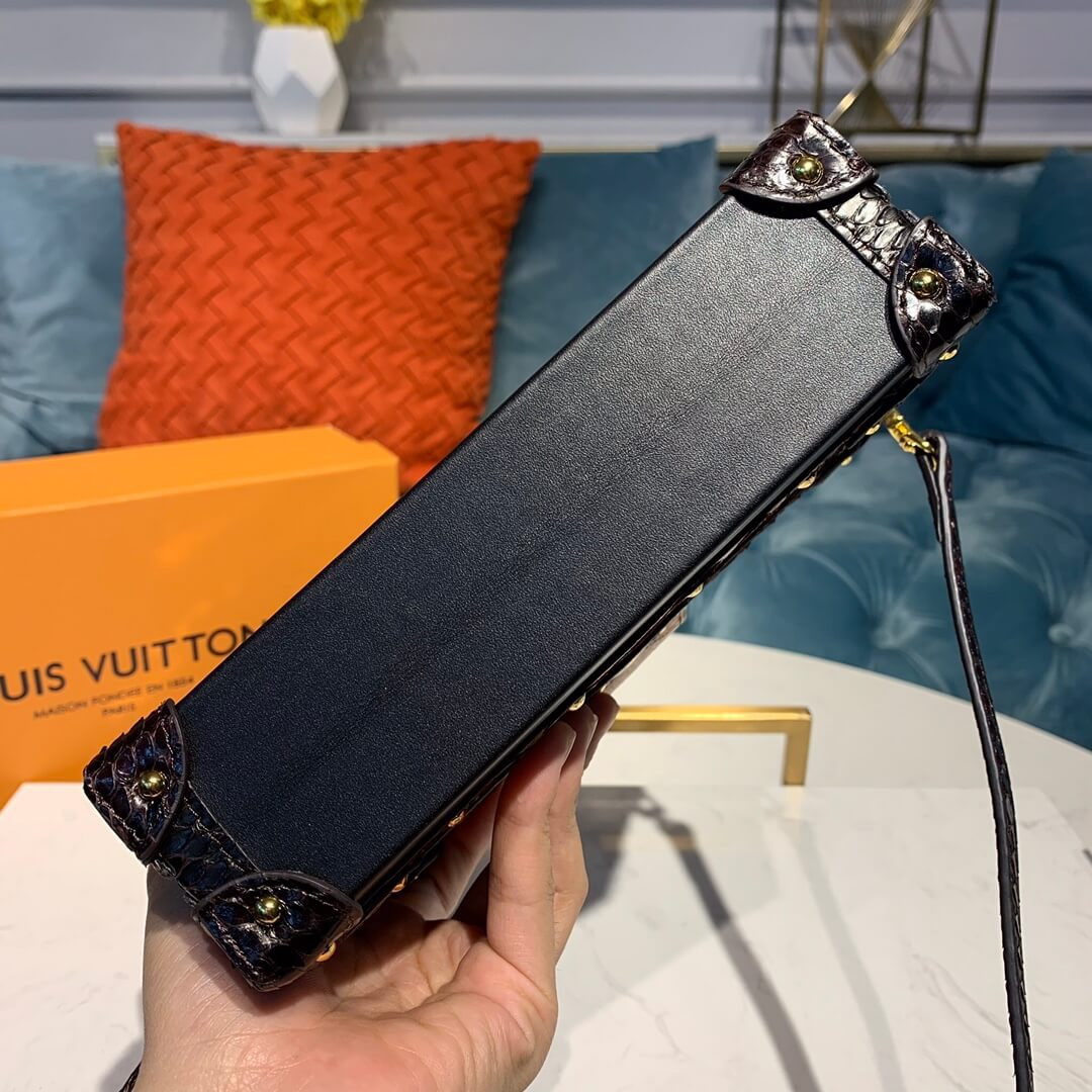 Louis Vuitton Python Leather Petite Malle N94723