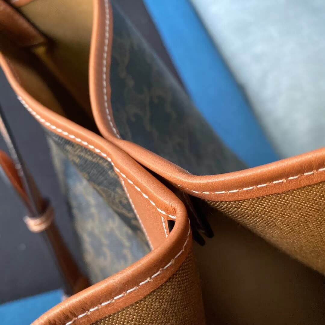 Celine Medium Bucket In Triomphe Canvas 191132