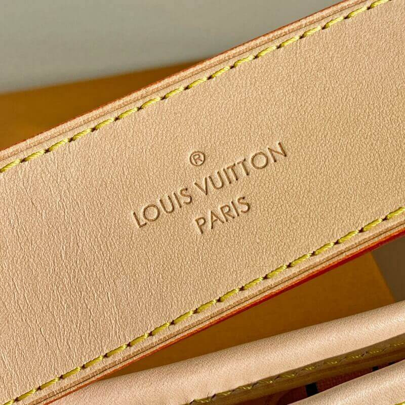 Louis Vuitton Damier Azur Canvas Delightful MM N41448