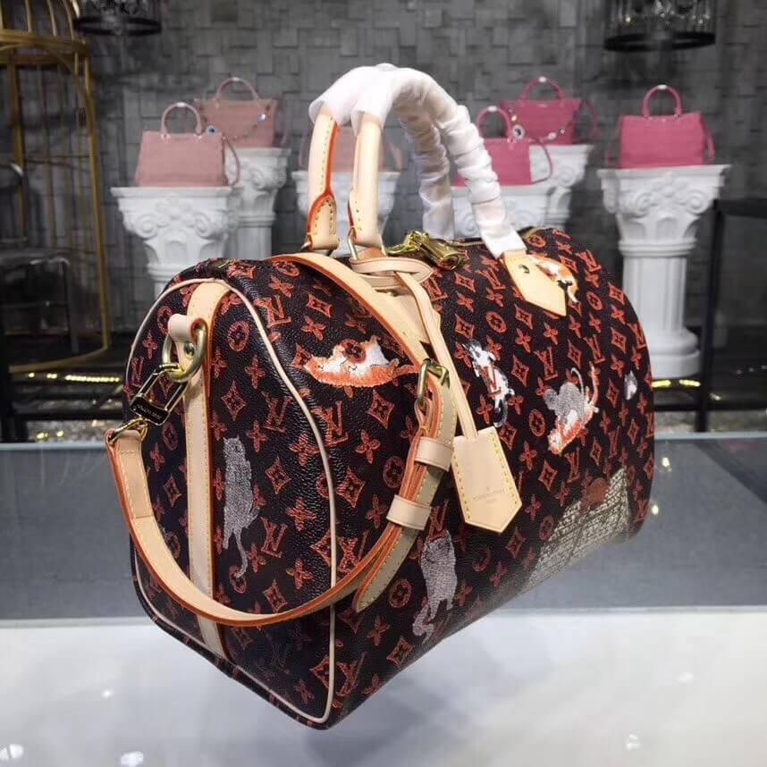 Louis Vuitton Speedy Bandouliere 30 M44401