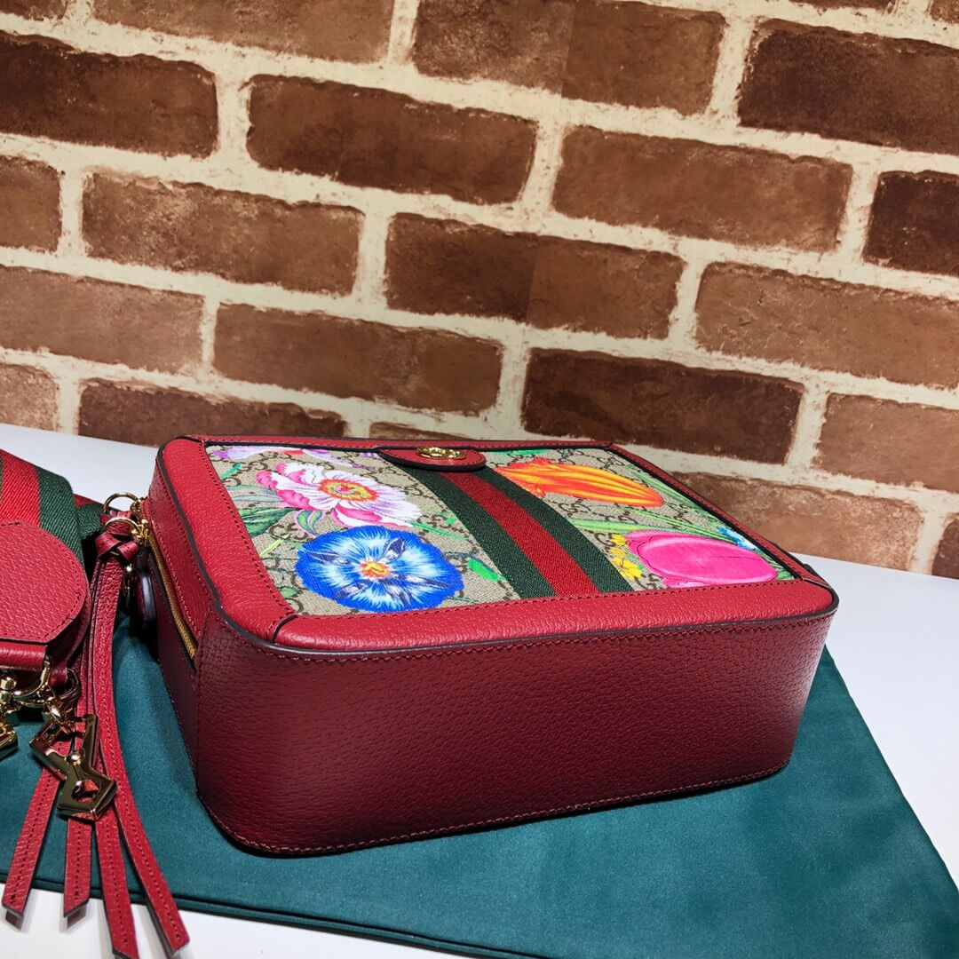 Gucci Ophidia GG Flora Small Shoulder Bag 550622