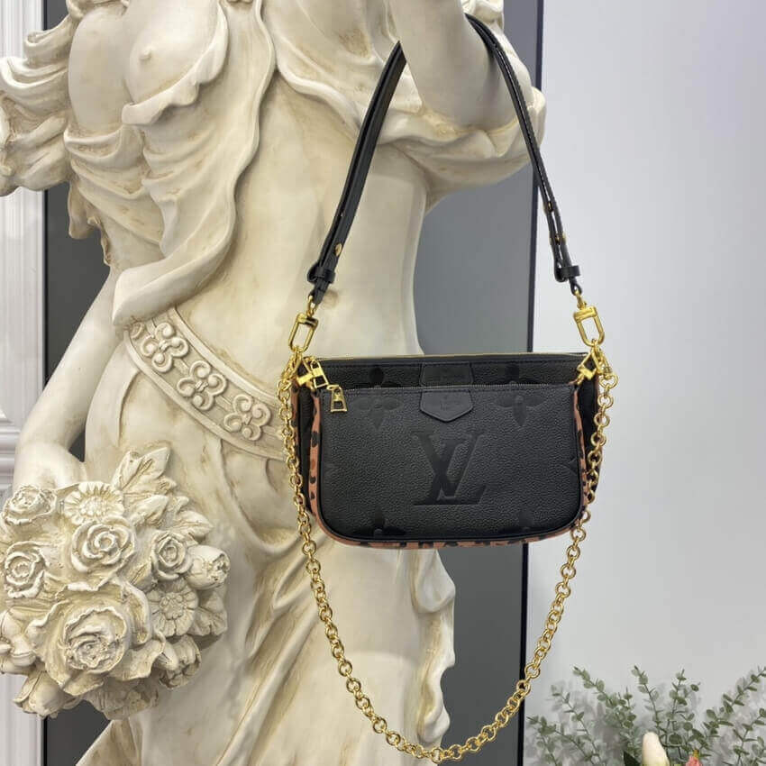 Louis Vuitton Multi Pochette Accessoires M45839 M58520