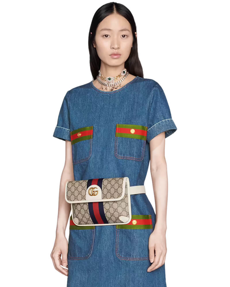 Gucci Ophidia Belt Bag 674081
