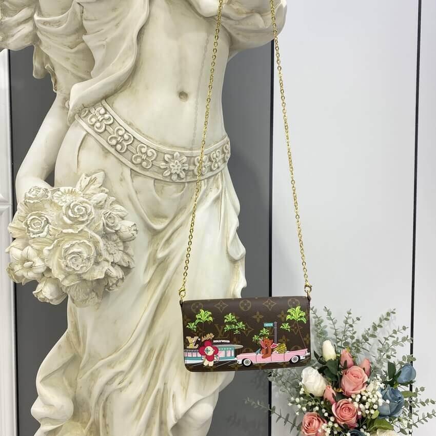 Louis Vuitton Monogram Canvas Pochette Felicie M80859