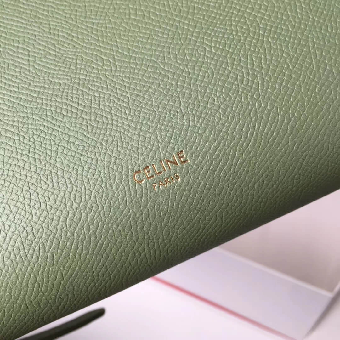 Celine Micro Belt Bag In Grained Calfskin 189153 Green