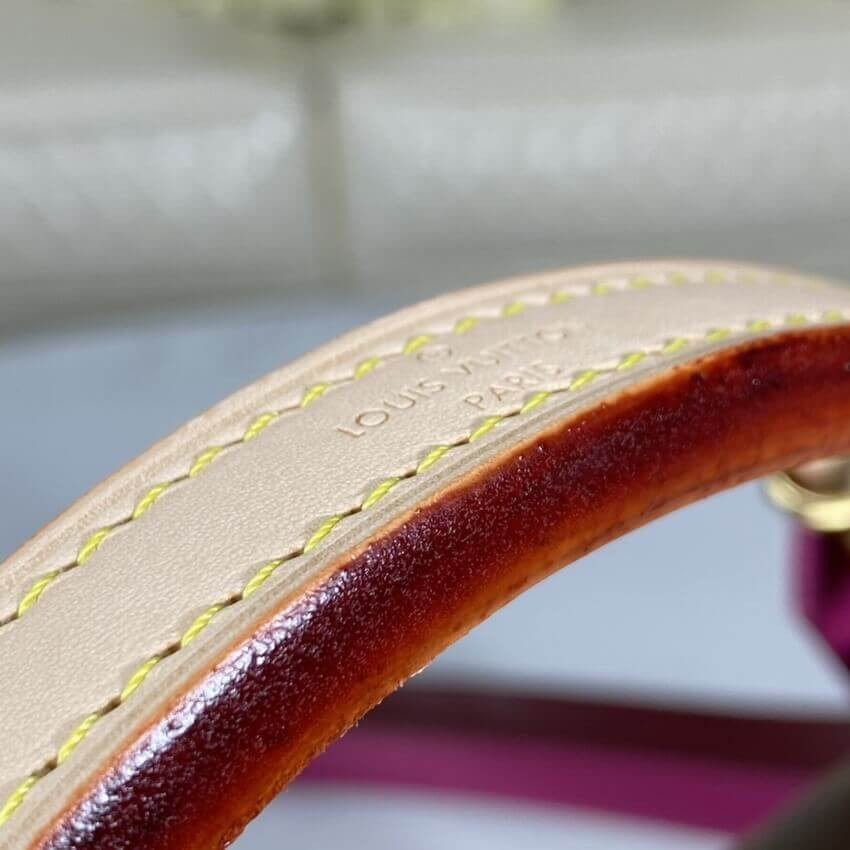 Louis Vuitton Monogram Canvas Cluny BB M42738