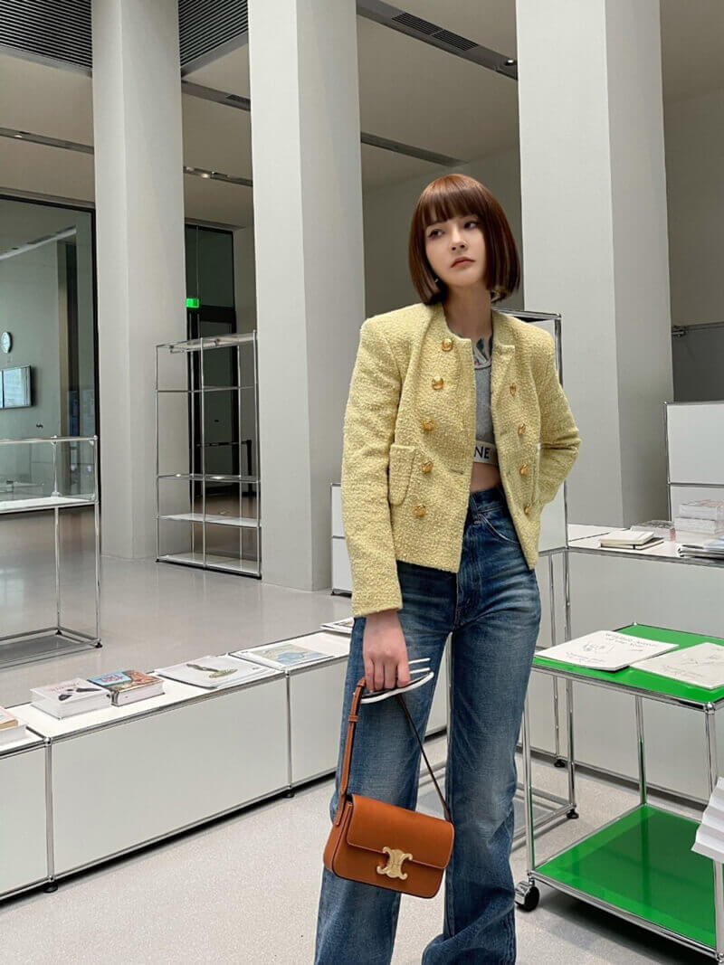 Celine Triomphe Shoulder Bag In Natural Calfskin 194143 Tan