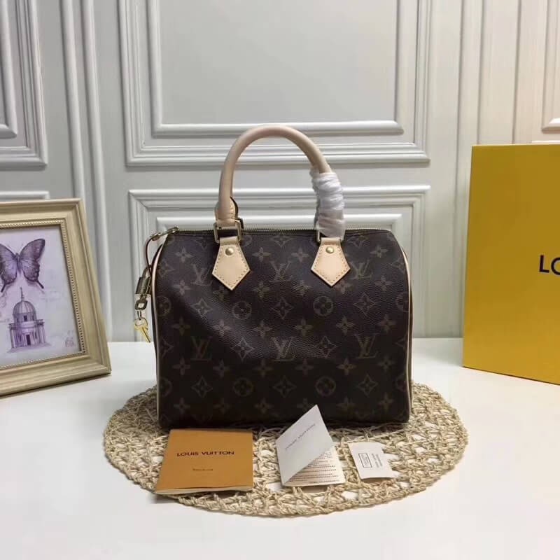 Louis Vuitton Monogram Canvas Speedy 25 M41109