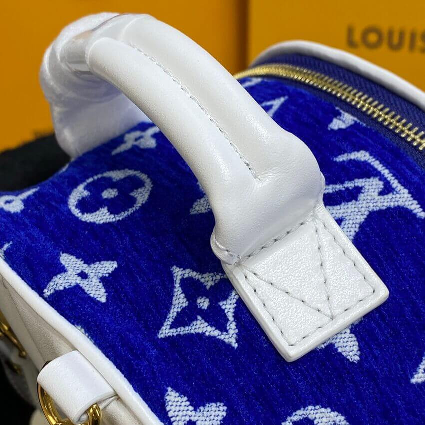 Louis Vuitton Monogram Jacquard Velvet Palm Springs Mini M46207 Blue