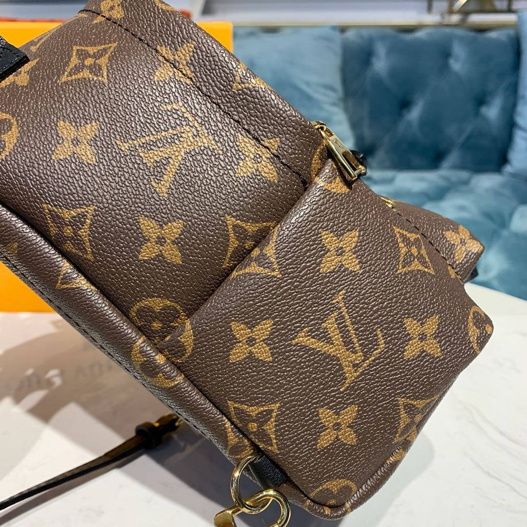 Louis Vuitton Monogram Canvas Palm Springs Backpack Mini M41562