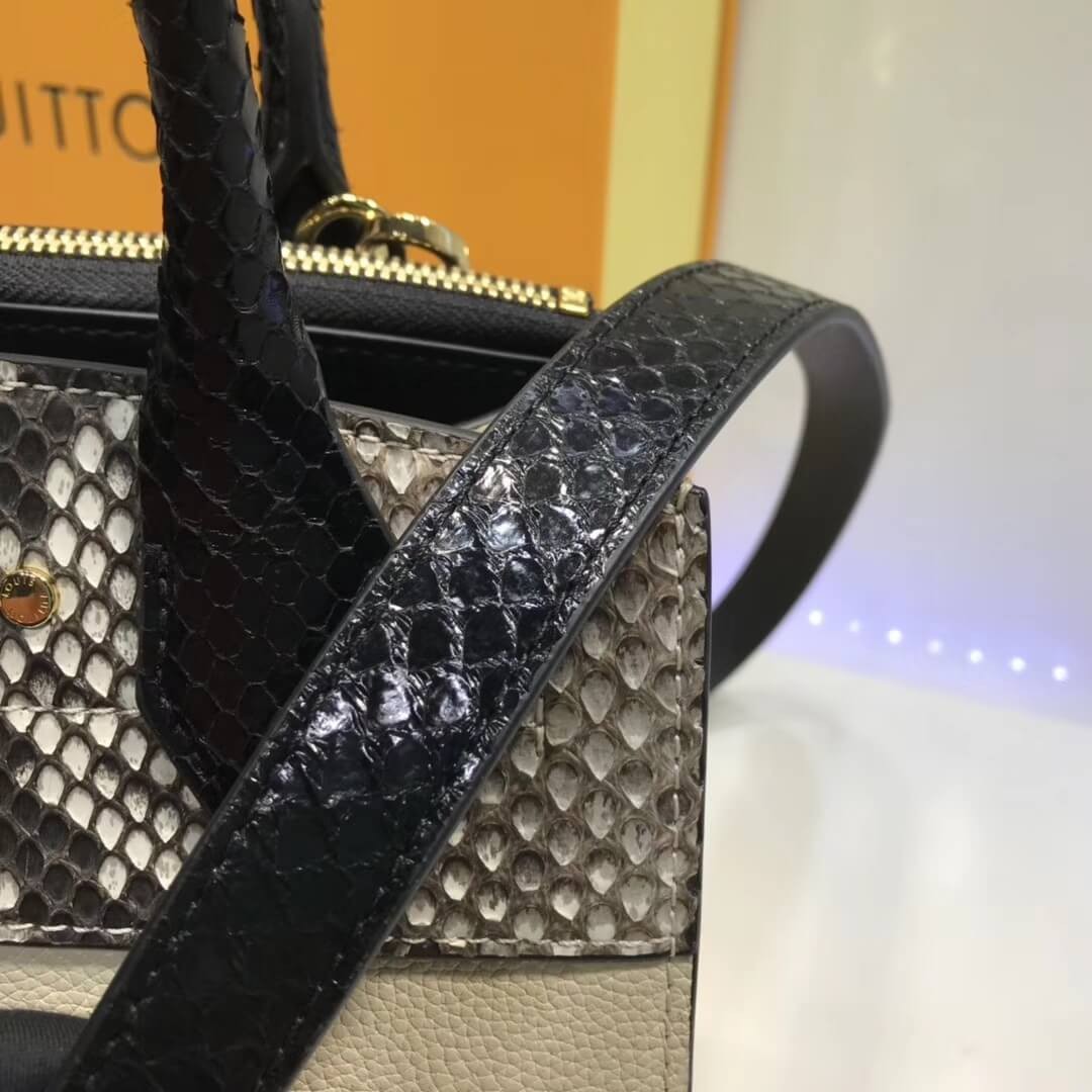 Louis Vuitton City Steamer MiNi N96317