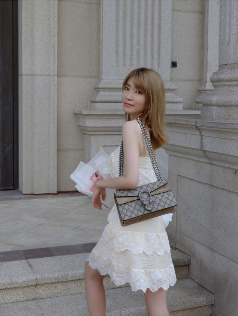 Gucci Dionysus GG Canvas Small Shoulder Bag 499623