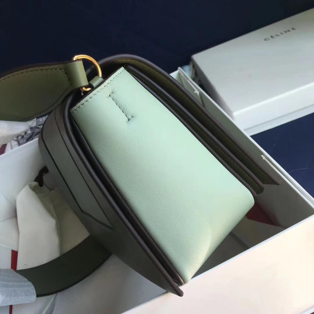 Celine Frame Medium Shoulder Bag 180263 Green/Light Green