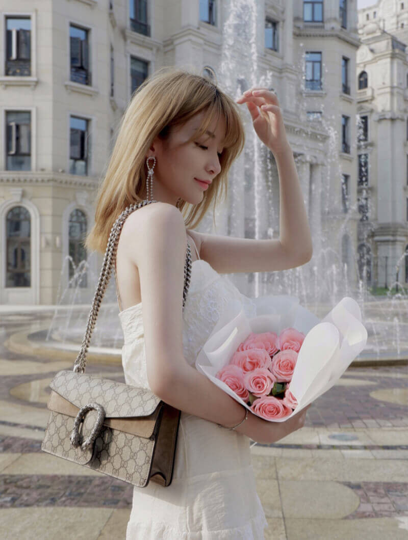 Gucci Dionysus GG Canvas Small Shoulder Bag 499623