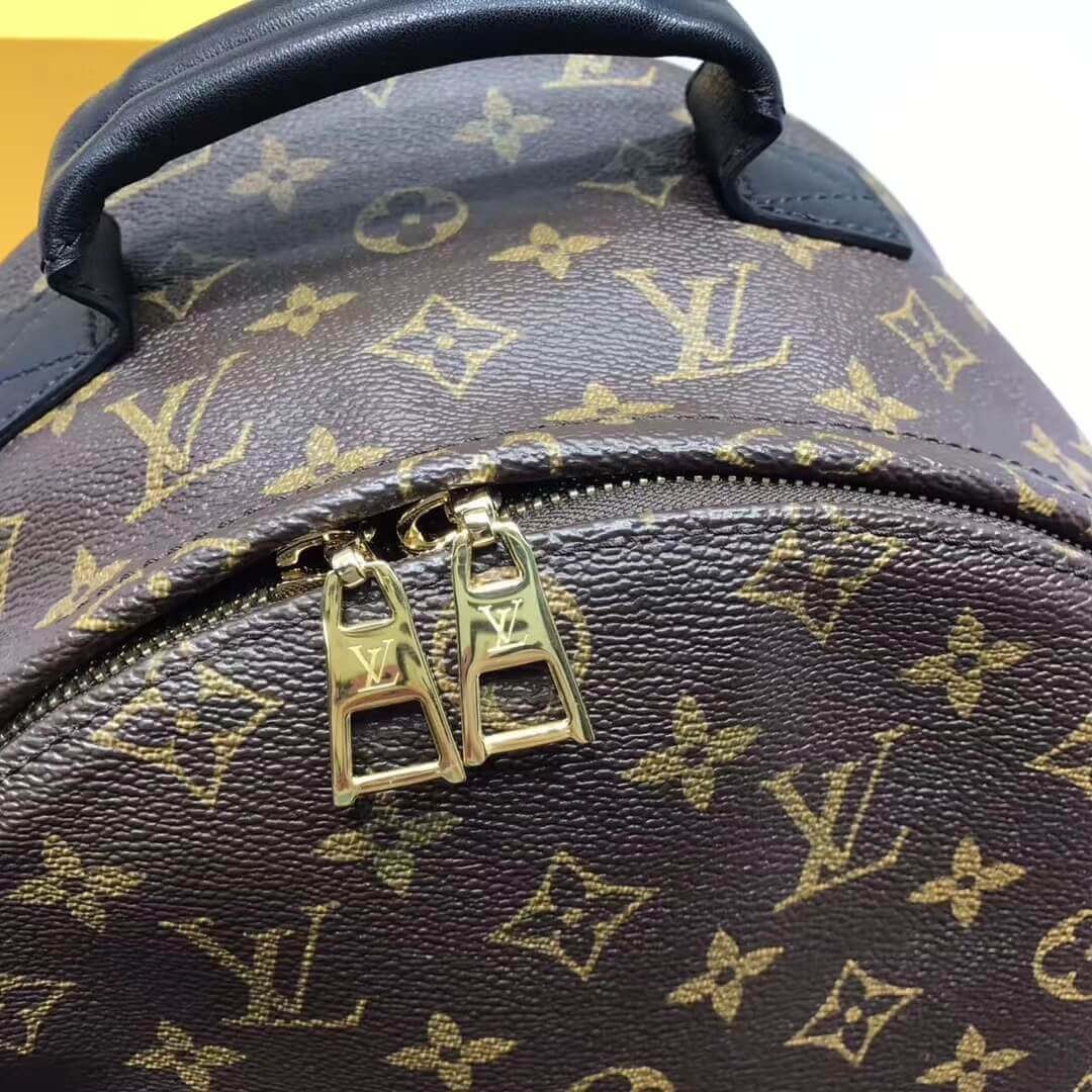 Louis Vuitton Monogram Canvas Palm Springs Backpack MM M41561