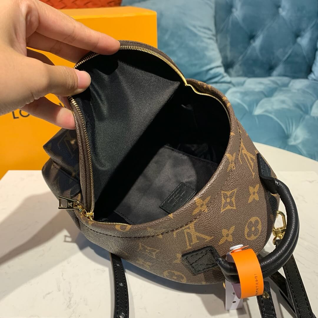 Louis Vuitton Monogram Canvas Palm Springs Backpack Mini M41562