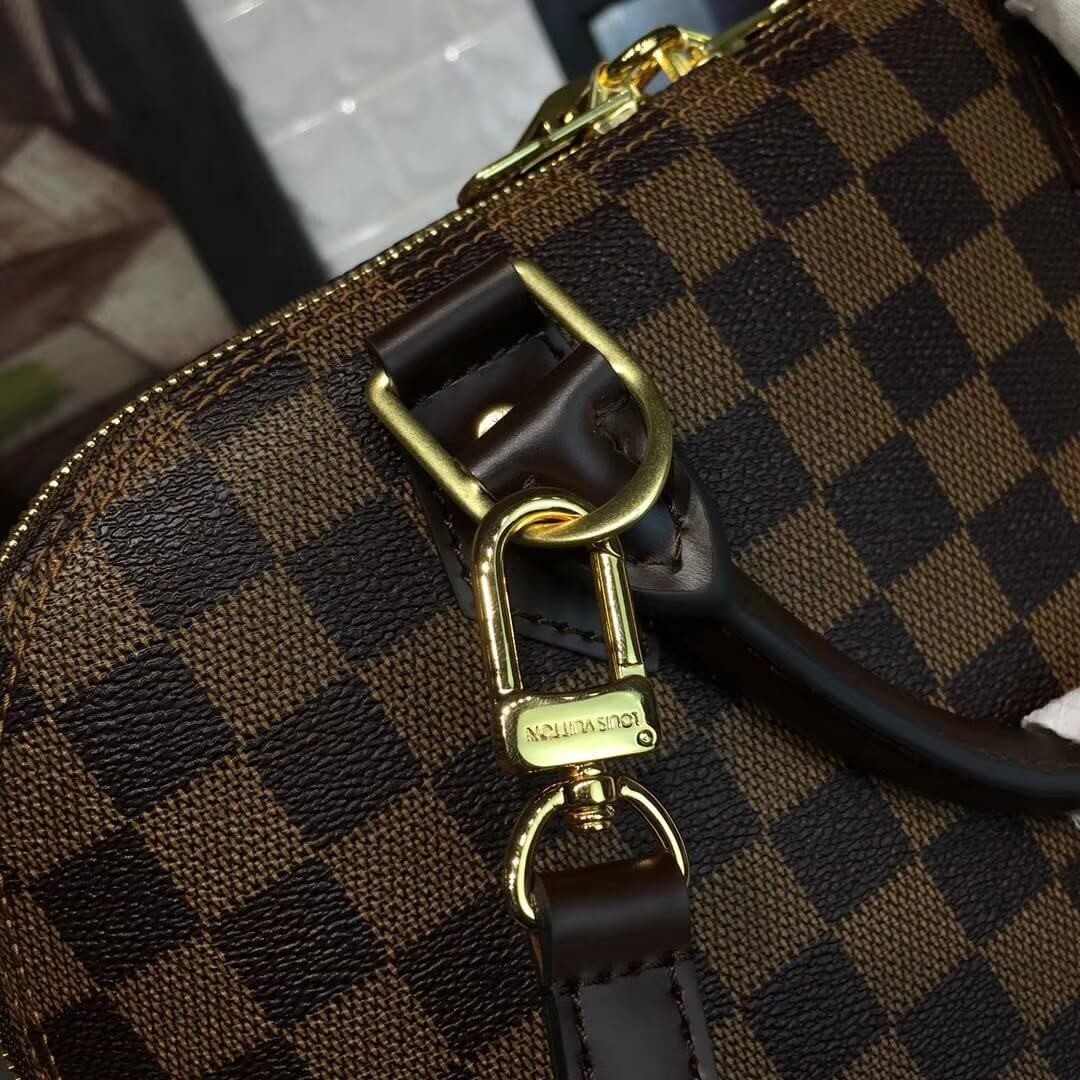 Louis Vuitton Damier Ebene Canvas Alma PM N53151