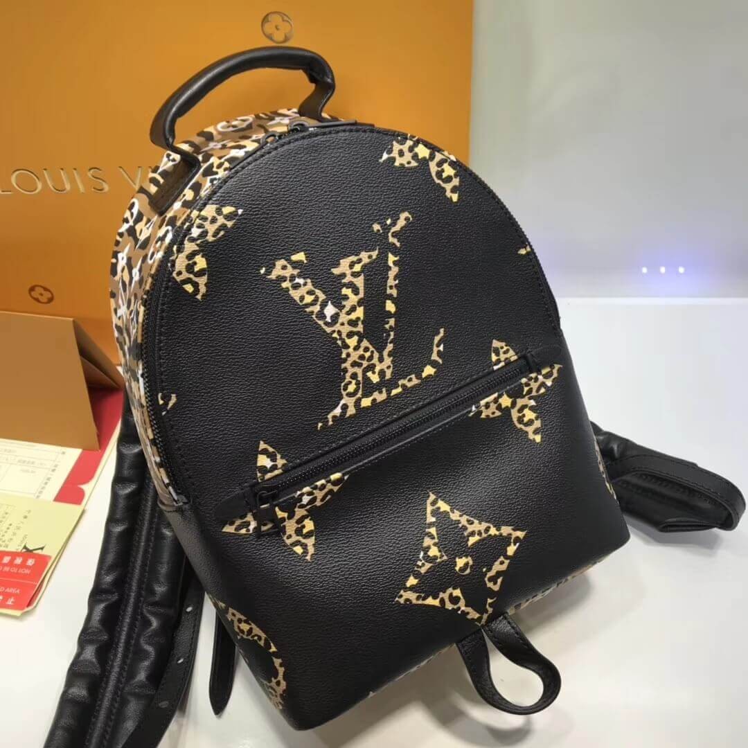 Louis Vuitton Palm Springs Backpack PM M44718