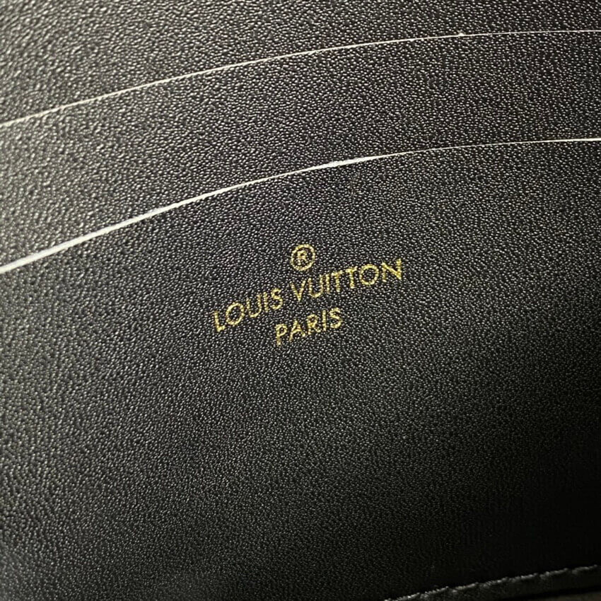 Louis Vuitton Monogram Double Zip Pochette M69203