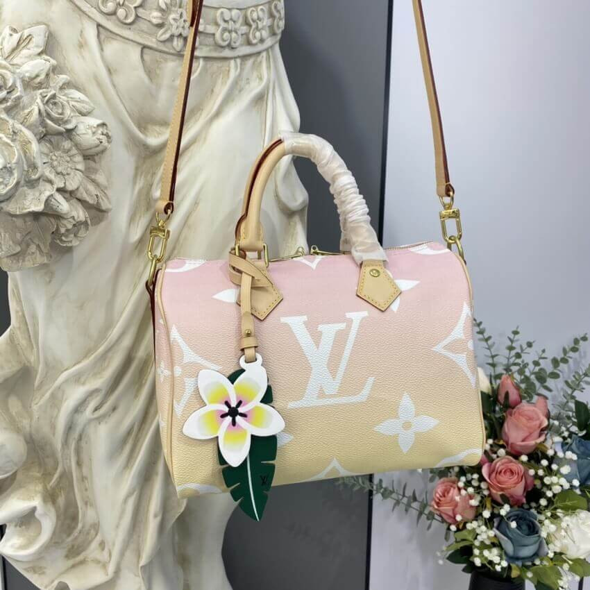 Louis Vuitton Speedy Bandouliere 25 M45722 M45724