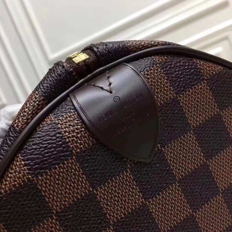 Louis Vuitton Damier Ebene Canvas Speedy 25 N41365