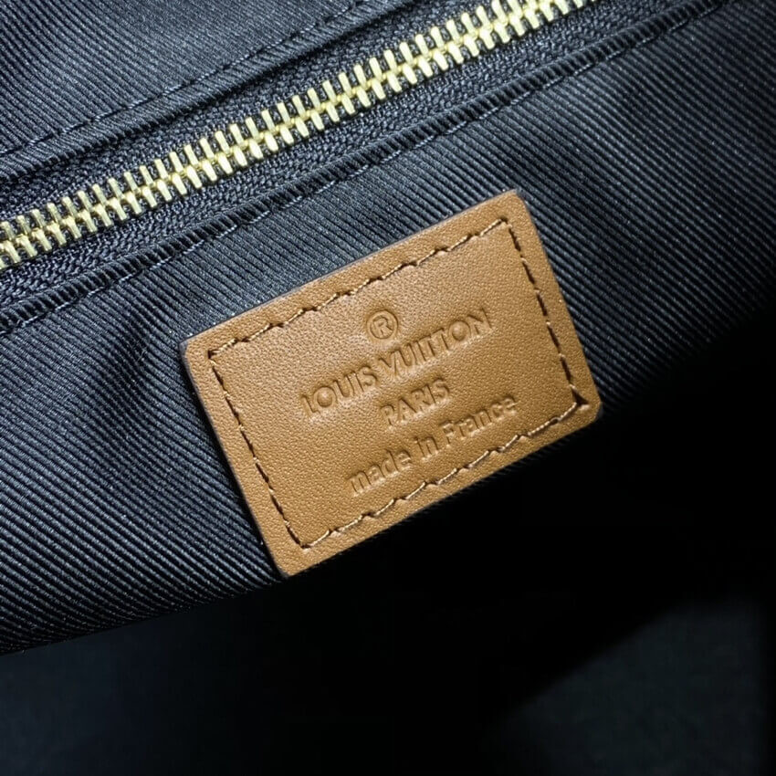 Louis Vuitton Hobo Dauphine MM M45195