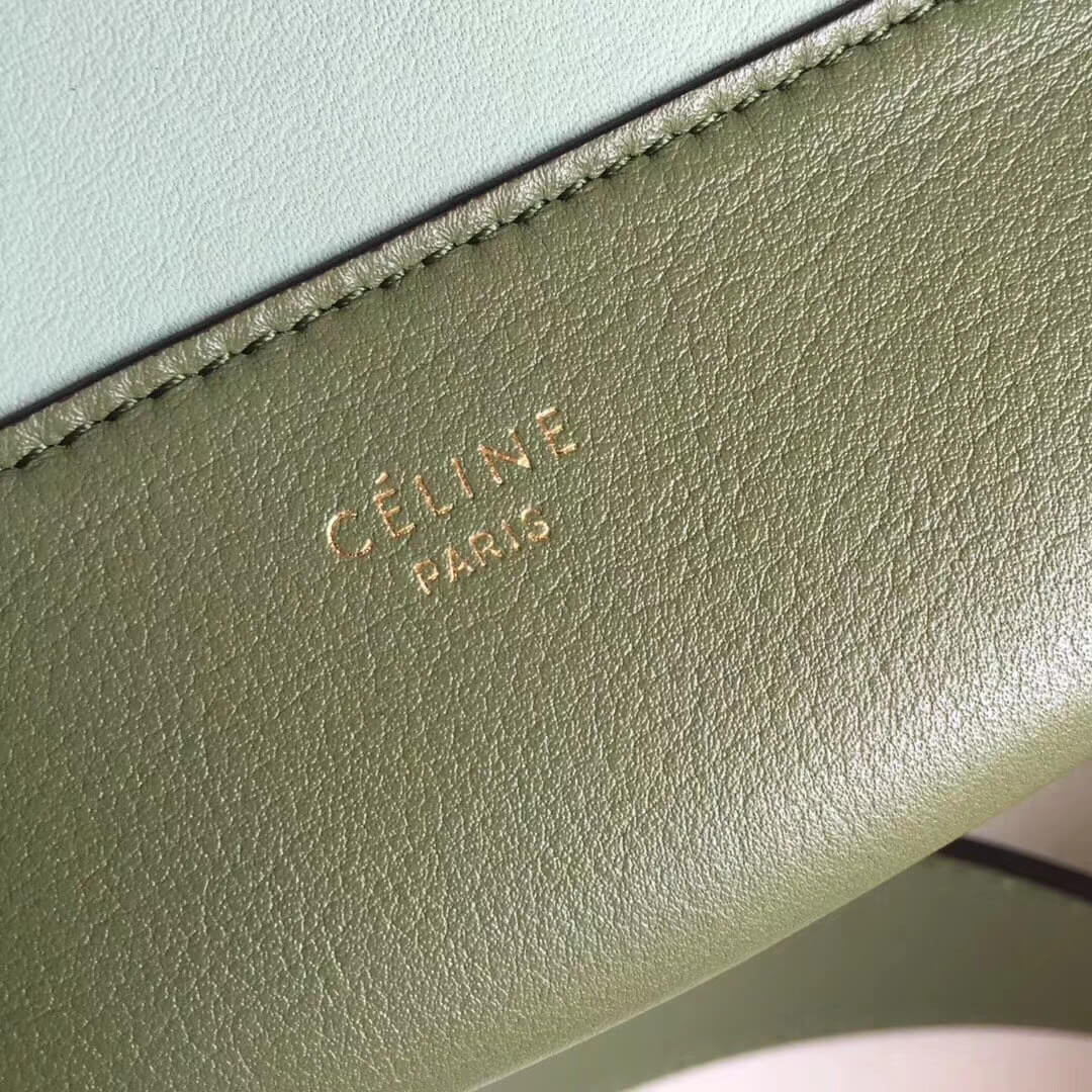 Celine Frame Medium Shoulder Bag 180263 Green/Light Green