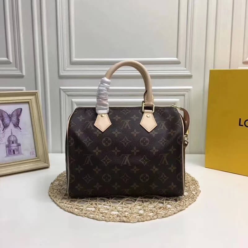 Louis Vuitton Monogram Canvas Speedy 25 M41109