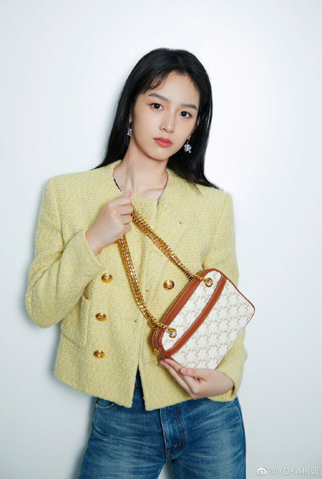 Celine Small Patapans In Triomphe Canvas and Calfskin 196252