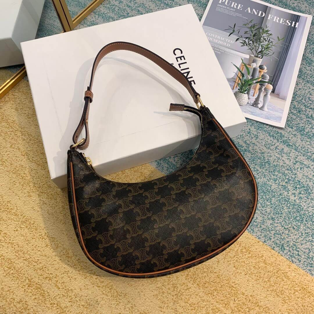 Celine Ava Bag In Triomphe Canvas 193952