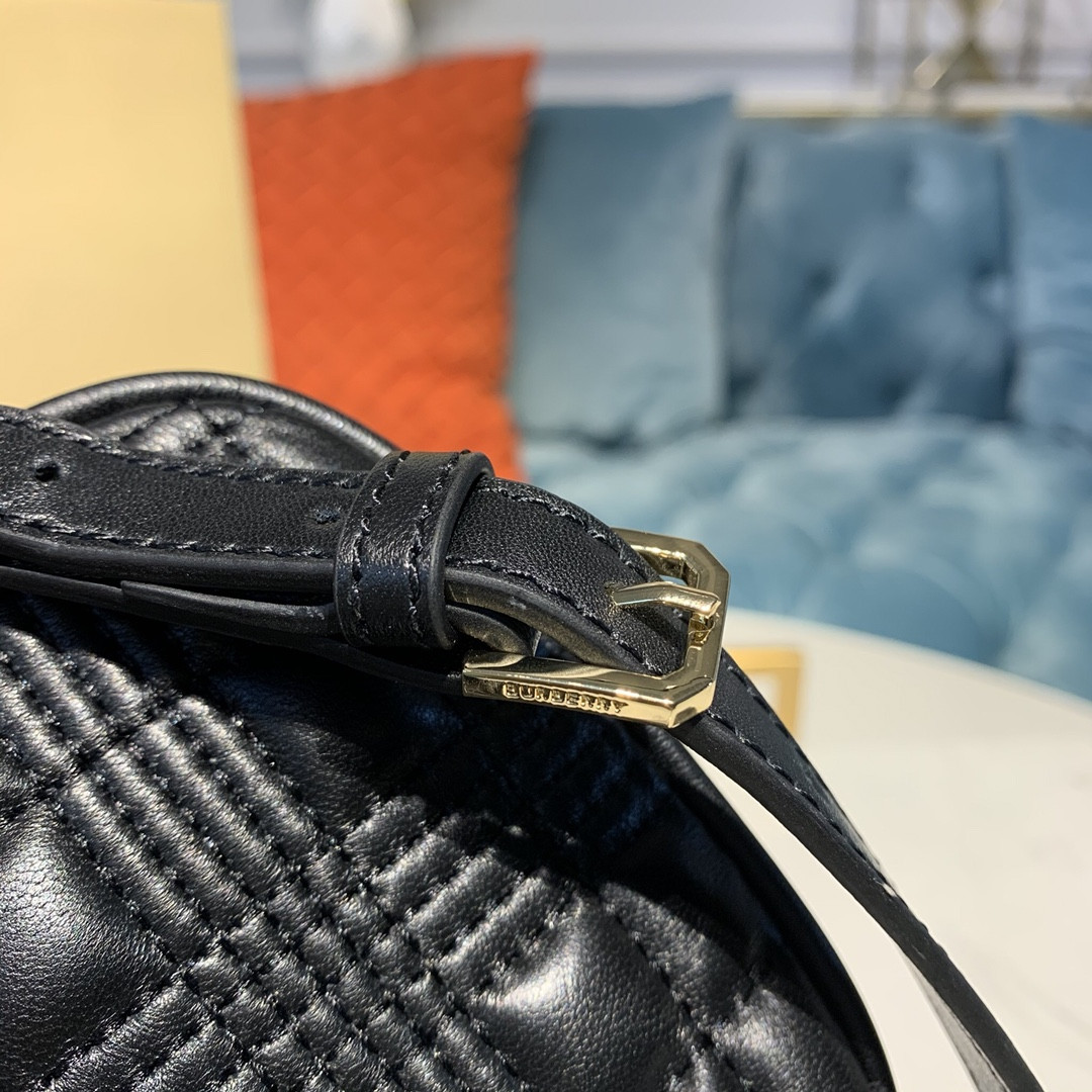 Burberry Quilted Lambskin Camera Bag 80211731